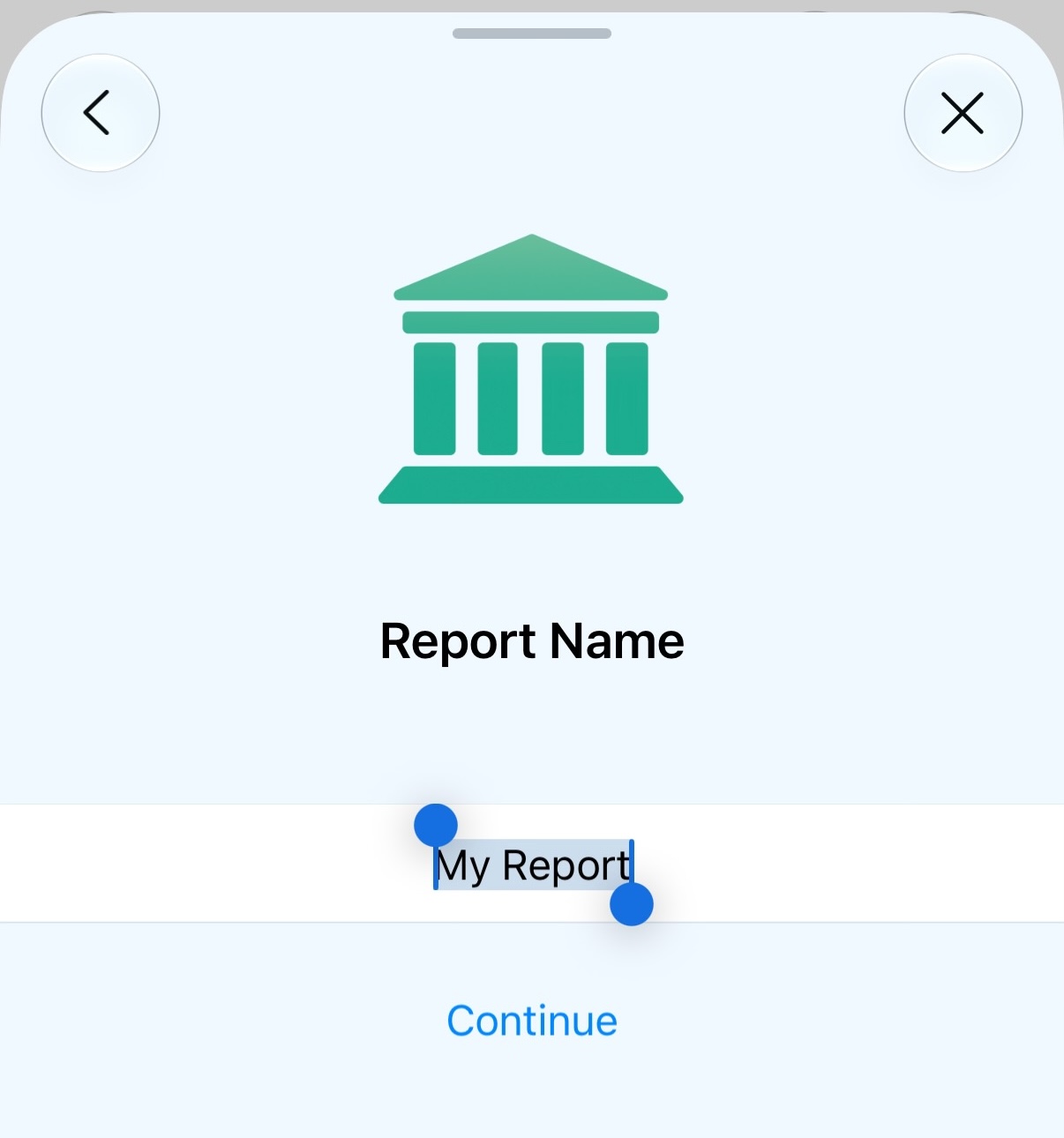 Report Name entry screen