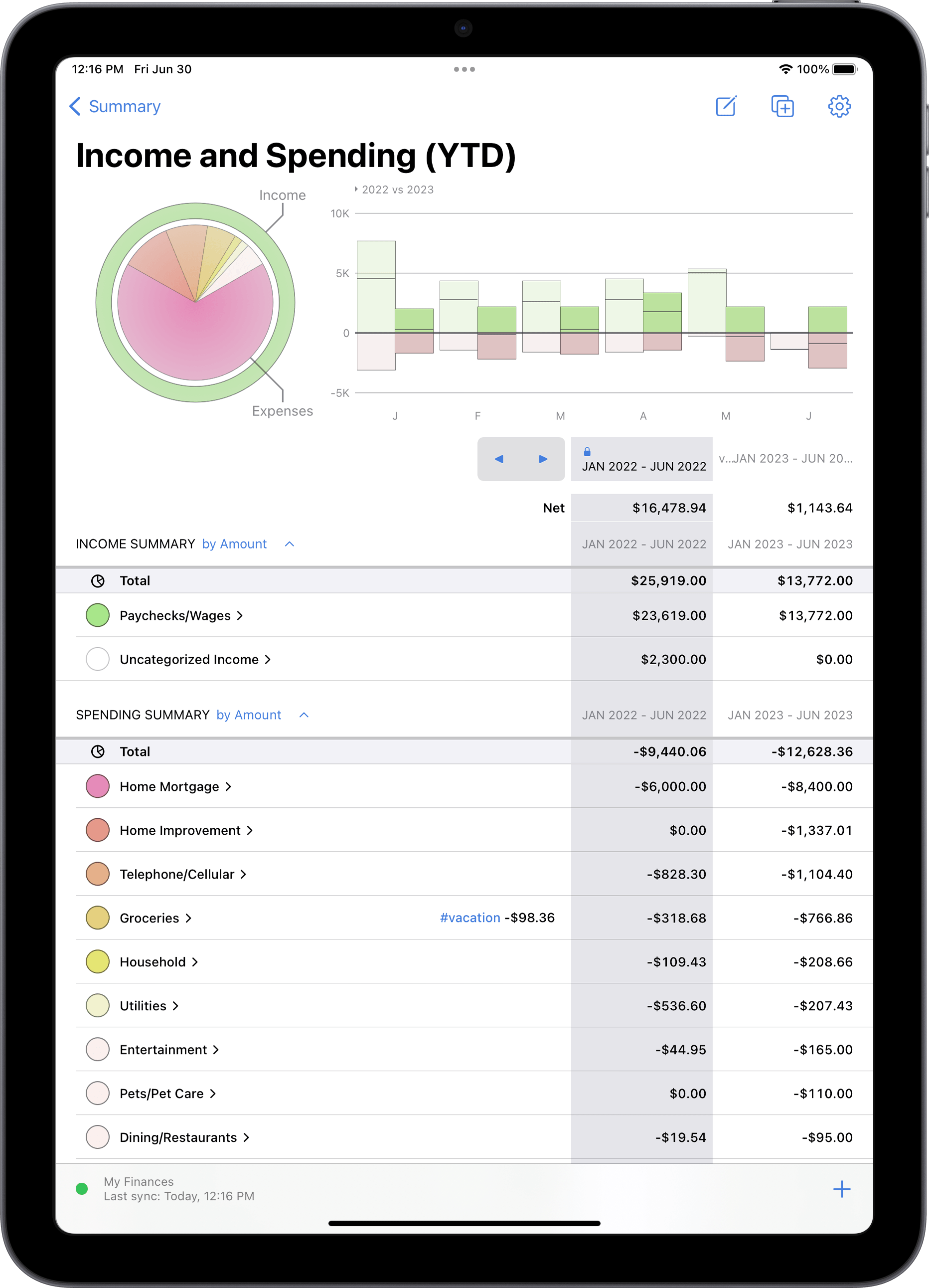 Income and expense report in portrait mode on iPad